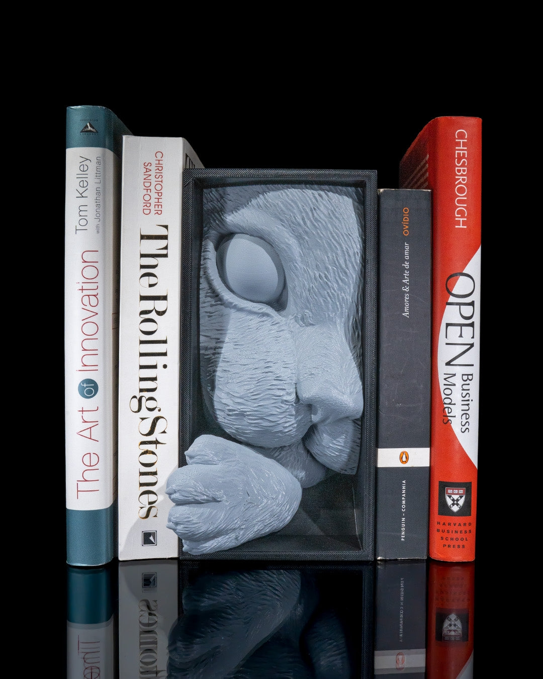 Cat's Curiosity Book Nook (Black-Gray)