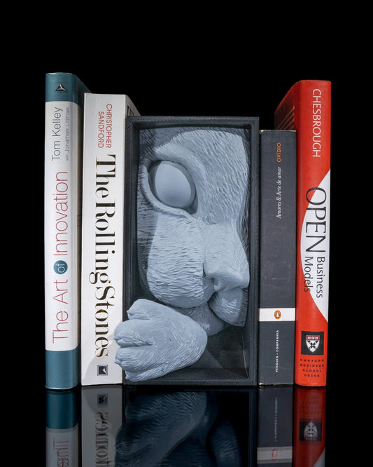 Cat's Curiosity Book Nook (Black-Gray)