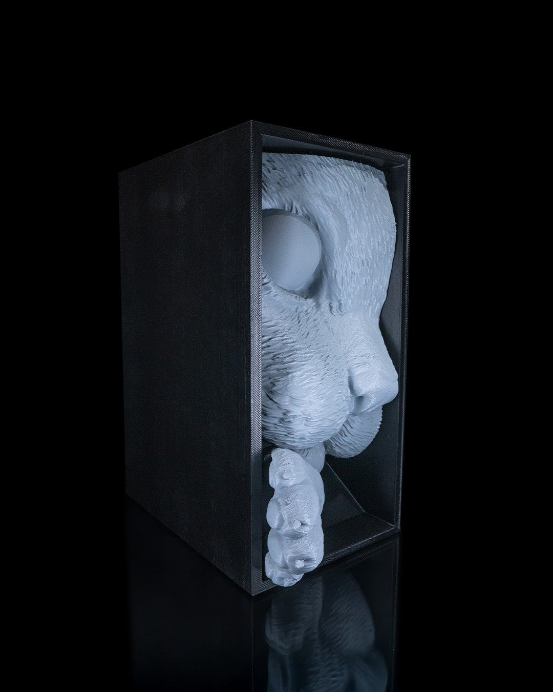 Cat's Curiosity Book Nook (Black-Gray)