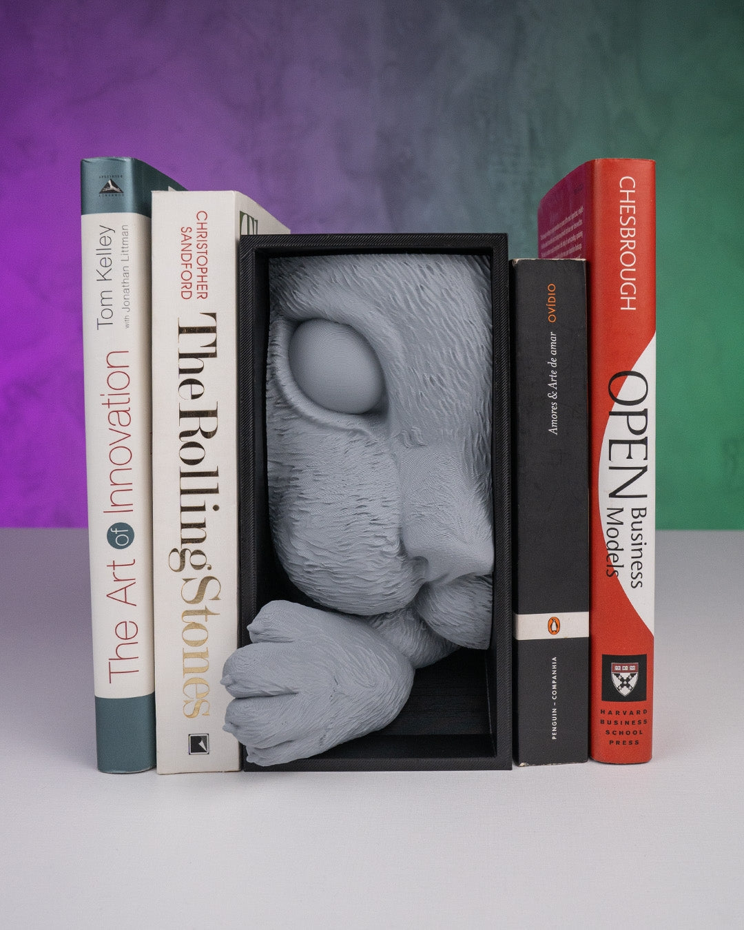 Cat's Curiosity Book Nook (Black-Gray)