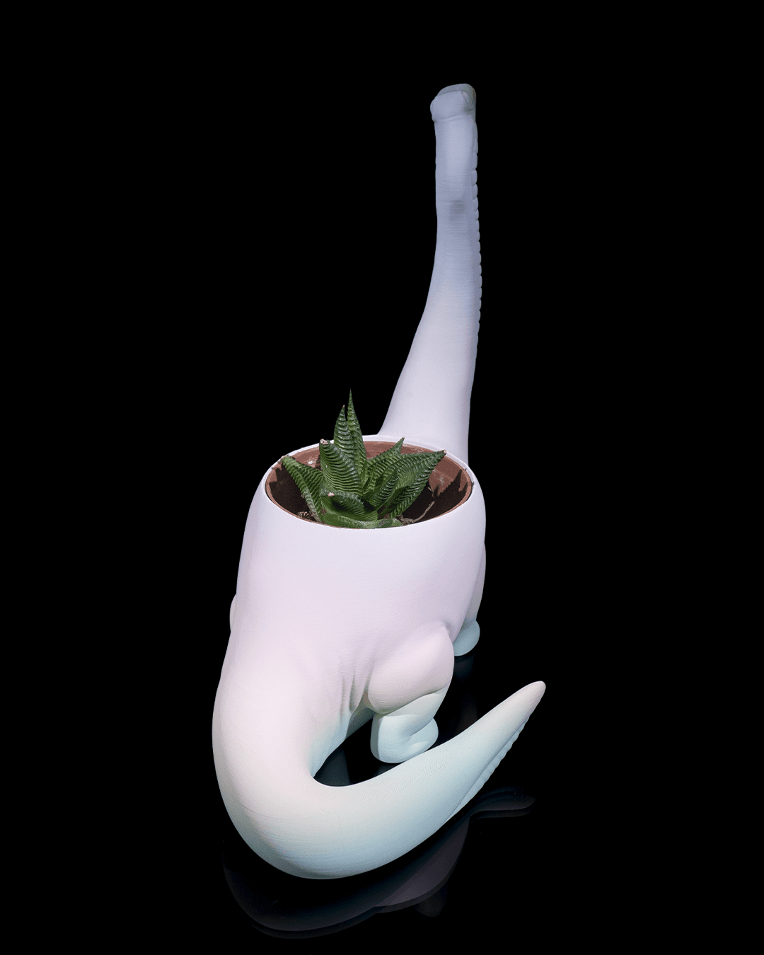 Herbivore Planter - Front (Light Gray)