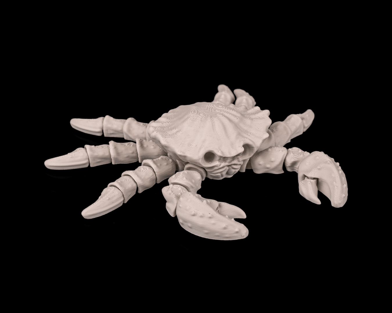 Skeleton Crab (Bone White)