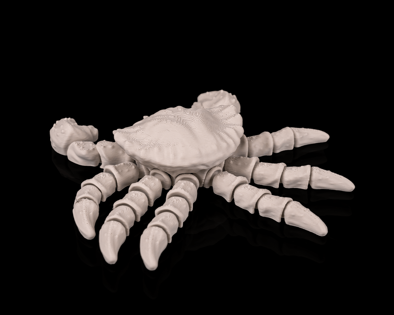 Skeleton Crab (Bone White)