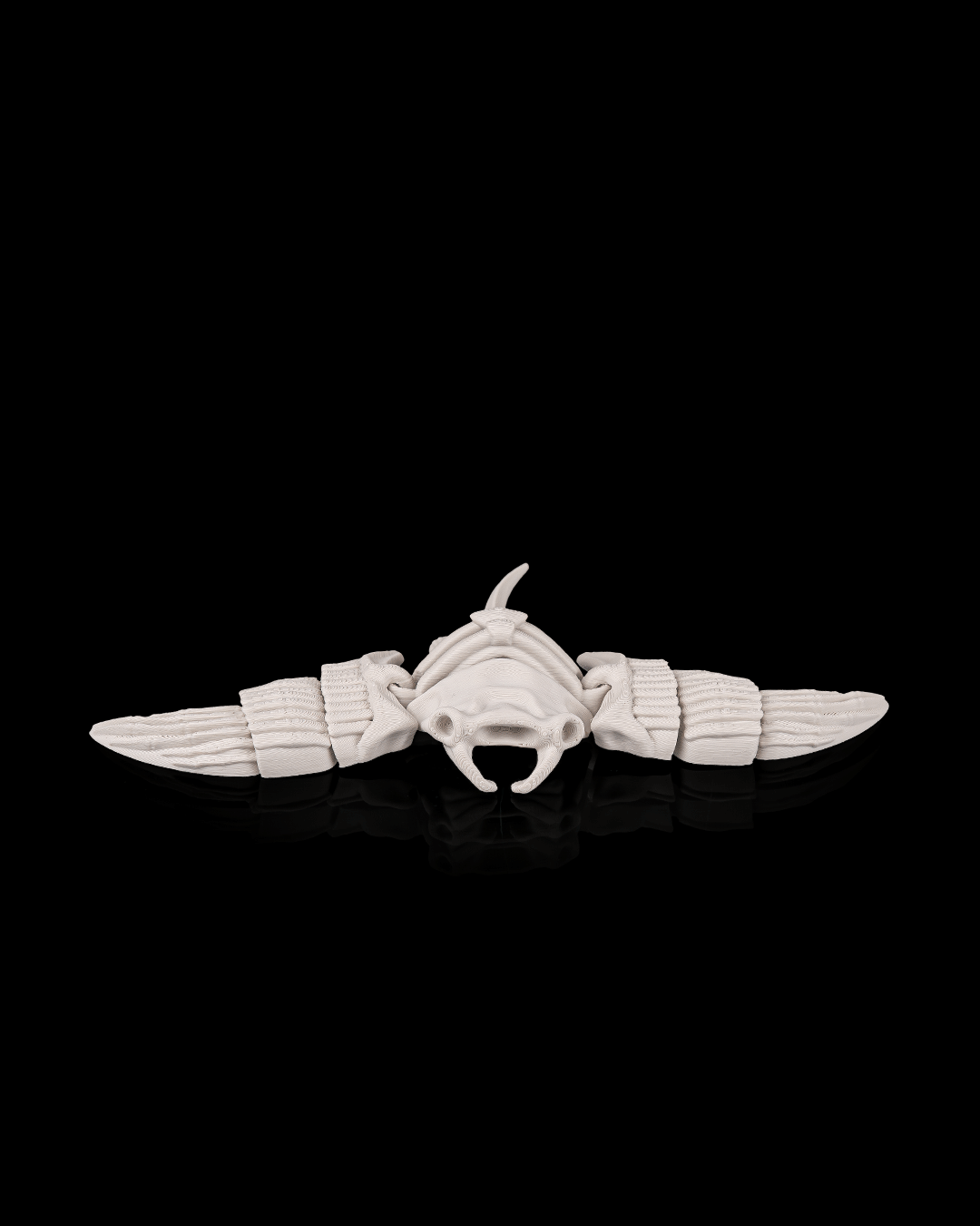 Skeleton Manta Ray (Bone White)