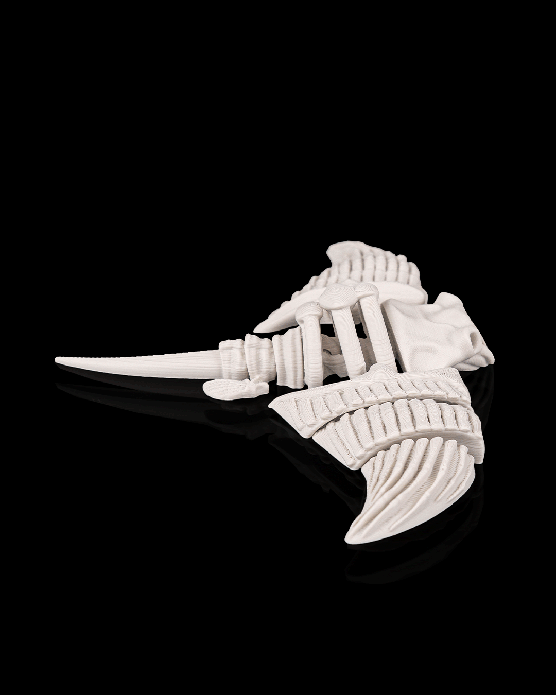 Skeleton Manta Ray (Bone White)
