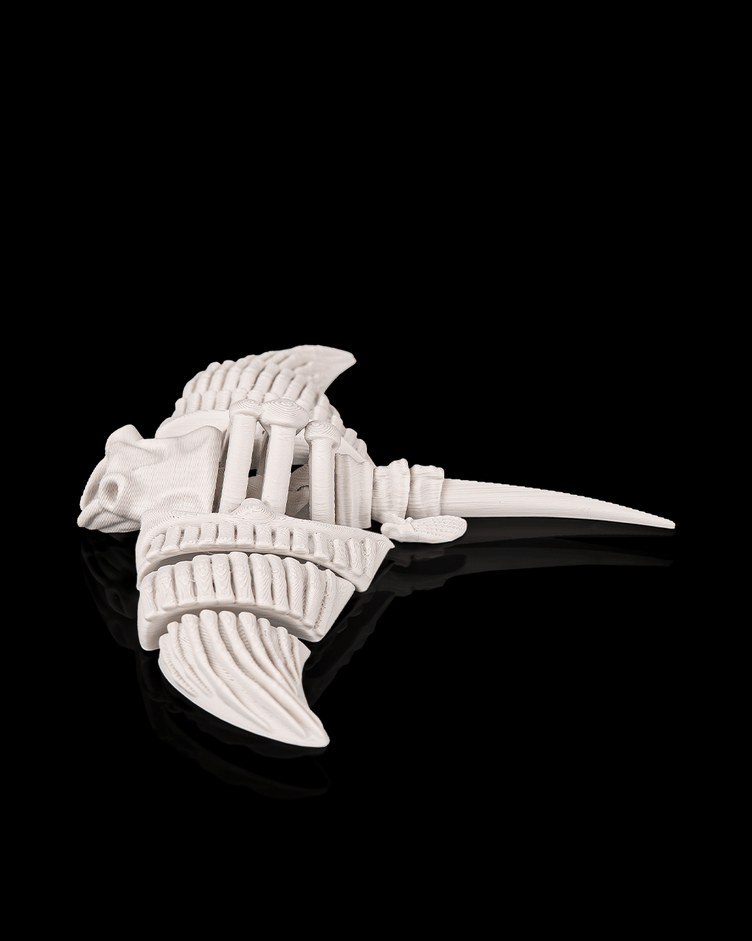 Skeleton Manta Ray (Bone White)
