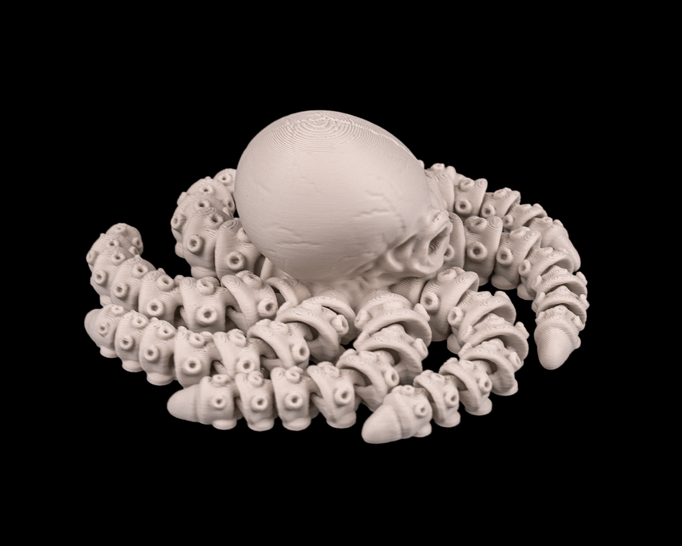 Skeleton Octopus (Bone White)