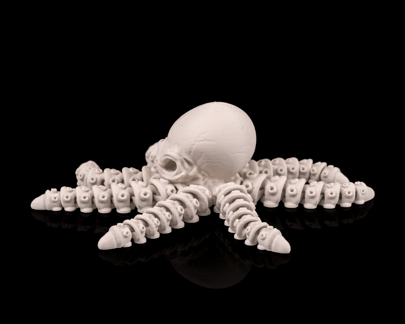 Skeleton Octopus (Bone White)