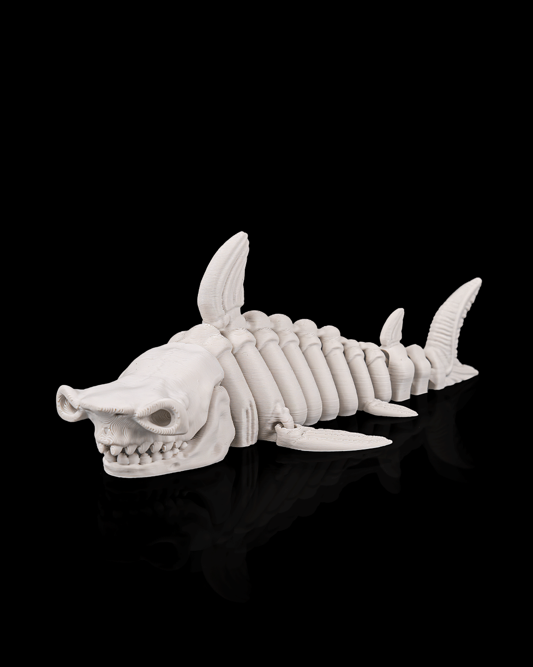 Skeleton Shark (Bone White)