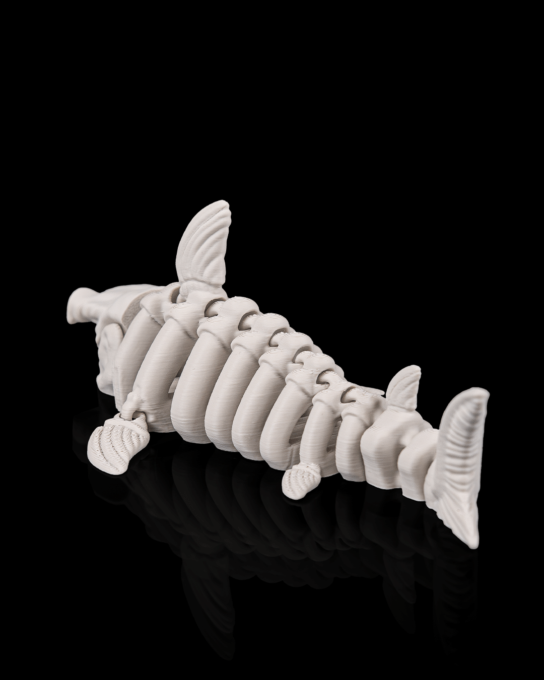 Skeleton Shark (Bone White)