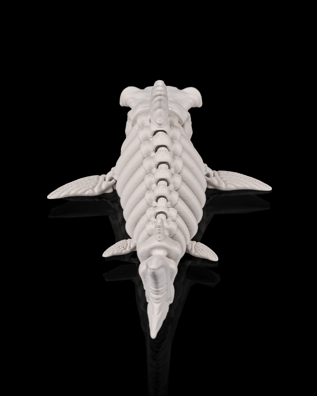 Skeleton Shark (Bone White)