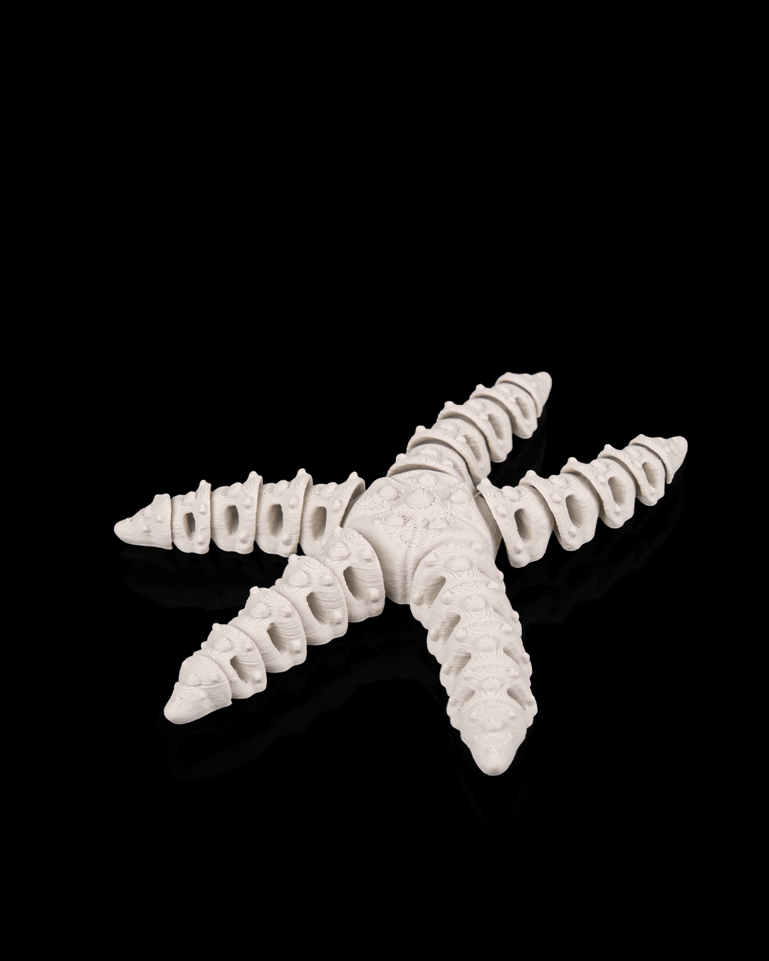 Skeleton Starfish (Bone White)