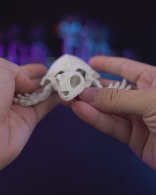 Skeleton Turtle (Bone White)