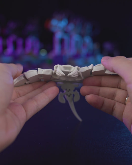 Skeleton Manta Ray (Bone White)